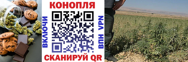 Cannafood конопля  KRAKEN как войти  Краснообск  продажа наркотиков 