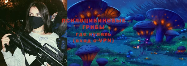 ПСИЛОЦИБИНОВЫЕ ГРИБЫ Алексеевка
