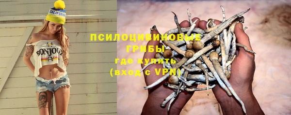 ПСИЛОЦИБИНОВЫЕ ГРИБЫ Алексеевка